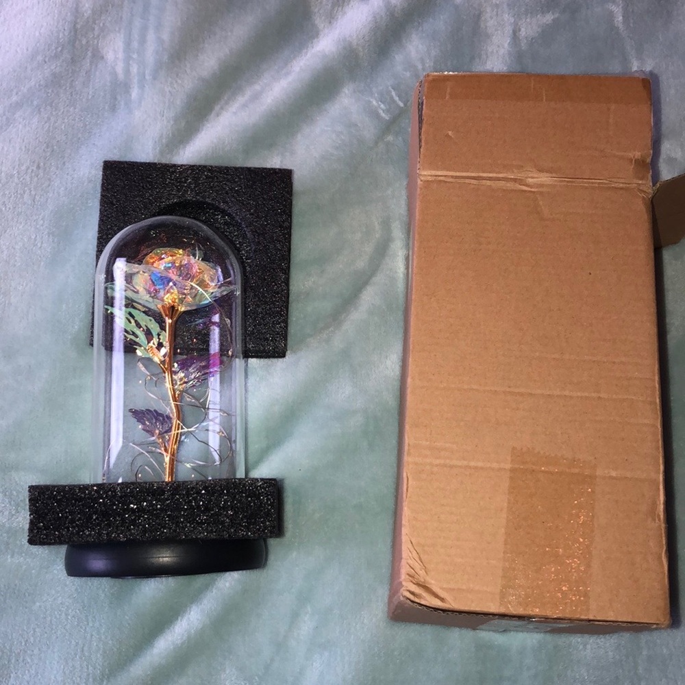 Dose of roses galaxy enchanted rose